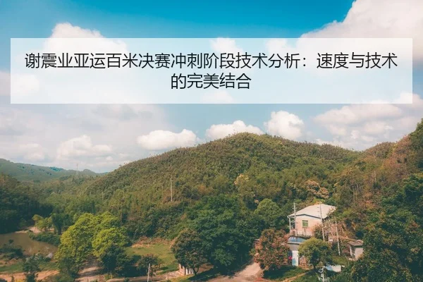 谢震业亚运百米决赛冲刺阶段技术分析：速度与技术的完美结合